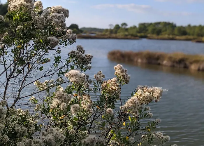 'andercool' Avec Piscine Utilisable En Toutes Saisons Andernos-les-Bains